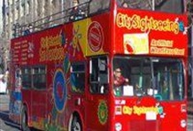 Hop-On Hop-Off Downtown Tour & Bay Cruise